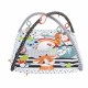 Fisher Price PALESTRINA ANIMALI 3IN1